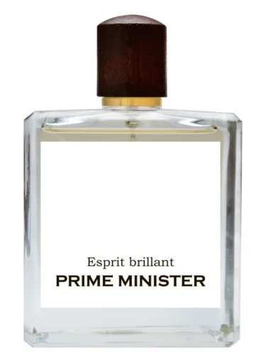 Esprit brillant