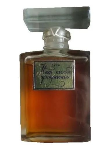 Net Tebya Prekrasney