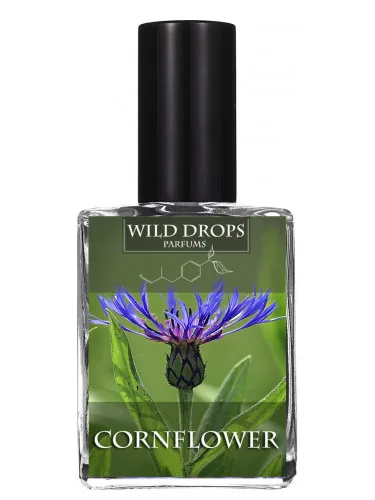 Cornflower