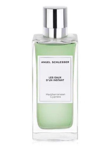 Mediterranean Cypress