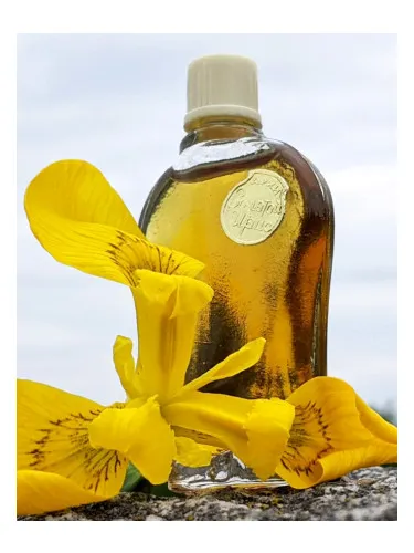 Zolotoy iris - Golden iris