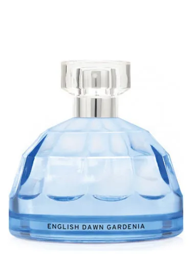 English Dawn White Gardenia