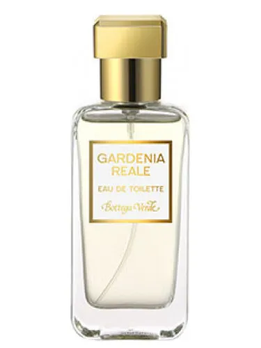 Gardenia Reale