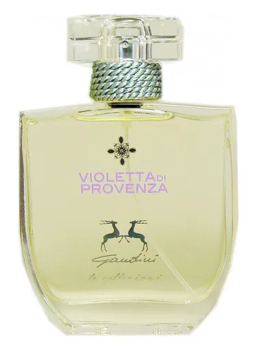 Violetta di Provenza