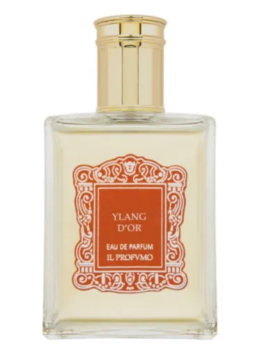 Ylang D'Or