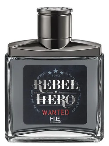 Rebel Hero Wanted