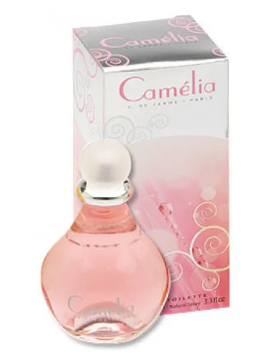Camelia