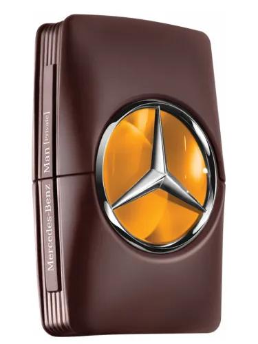 Mercedes Benz Man Private