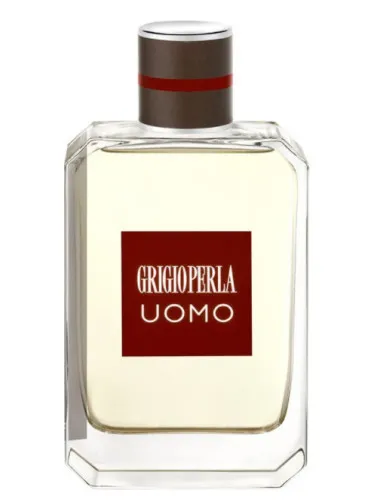 Grigioperla Uomo