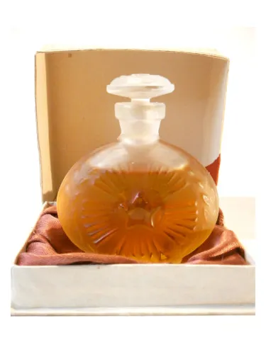 Lyubimaya stolitsa (Beloved Capital)