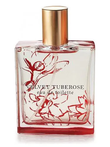 Velvet Tuberose
