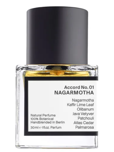 Accord No. 01: Nagarmotha