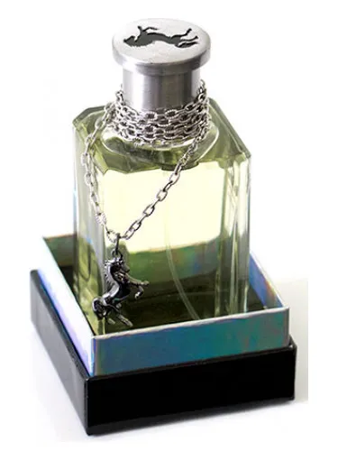 Black Stallion by Sergio Goyri