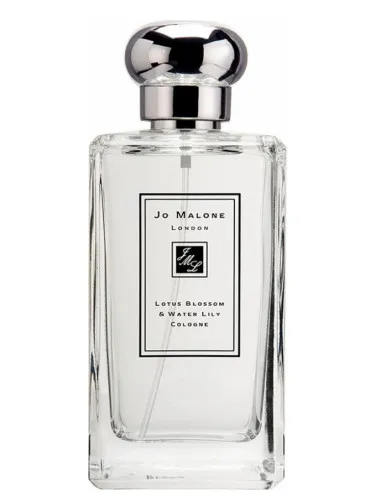 Lotus Blossom & Water Lily