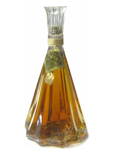 Intoxication (Vintage)