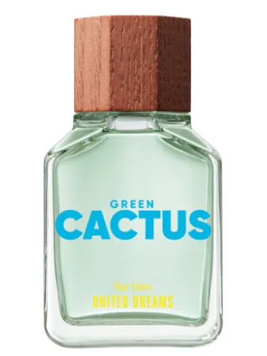 United Dreams Green Cactus For Him