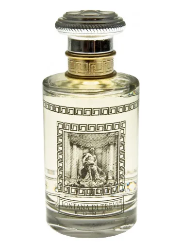 Fontana di Trevi XVI