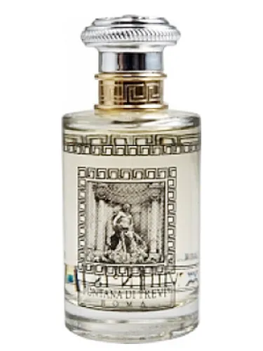 Fontana di Trevi XIV