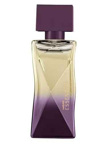 Essencial Exclusivo Hair