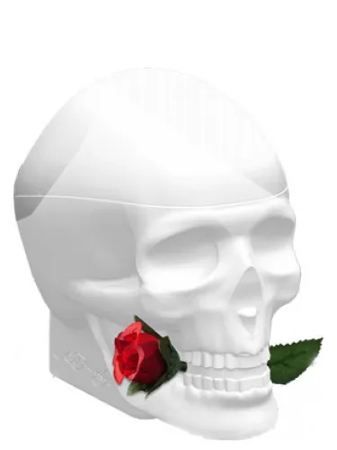 Ed Hardy Skulls & Roses for Her
