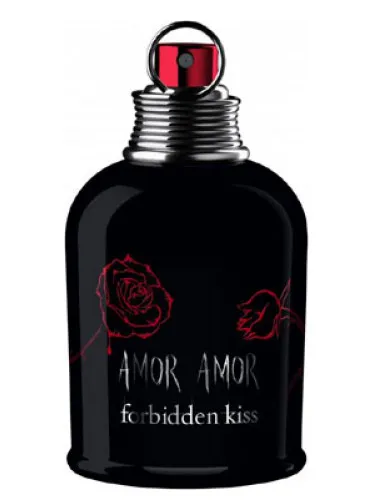 Amor Amor Forbidden Kiss