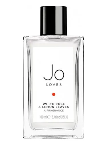 White Rose & Lemon Leaves