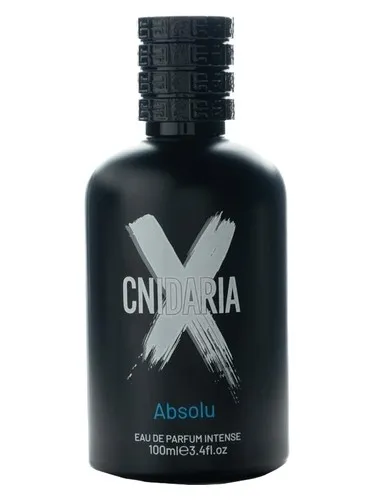 Cnidaria X Absolu