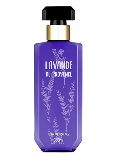 Lavende de Provence