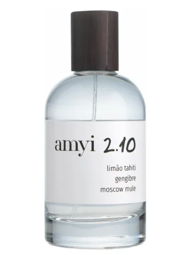 Amyi 2.10