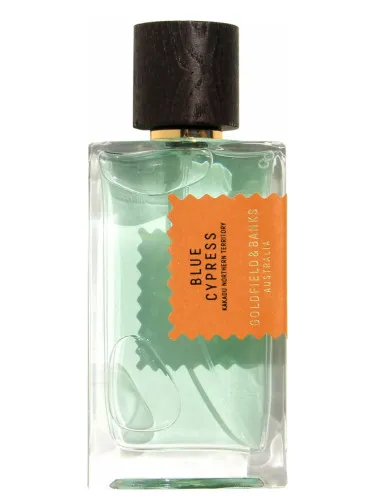 Blue Cypress