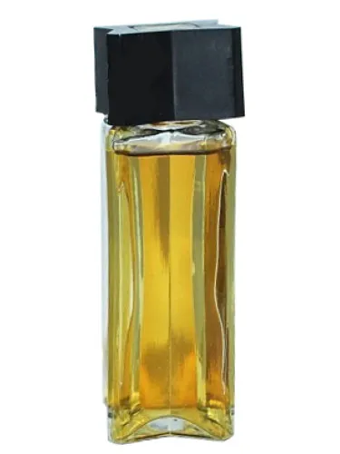 Roza vetrov (Wind rose)