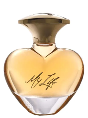 Mary J. Blige My Life