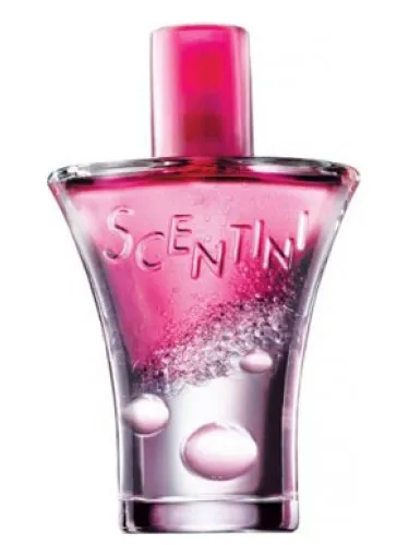 Scentini Rose Fizz