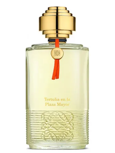 Tertulia en la Plaza Mayor