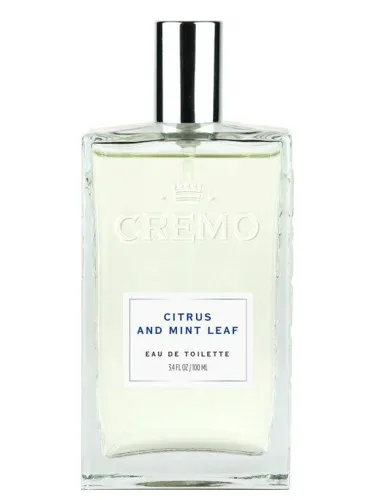 Citrus and Mint Leaf