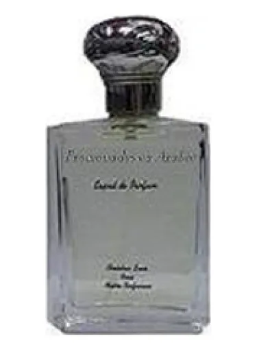 Promenades en Arabie