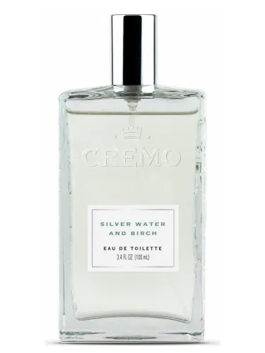 Silver Water & Birch