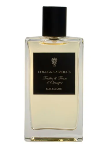 Feuilles & Fleurs d'Oranger