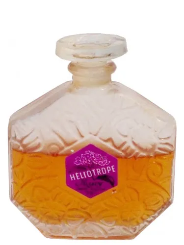 Heliotrope