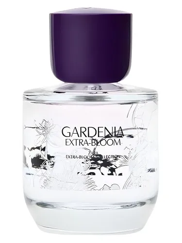 Gardenia Extra-Bloom