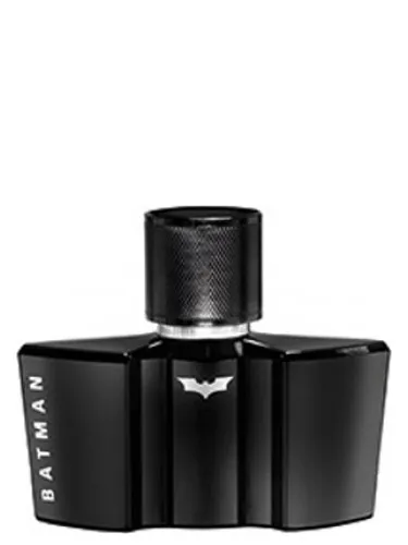 Batman The Dark Night Rises