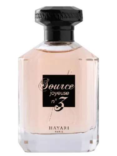 Source Joyeuse No3