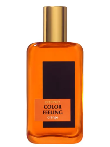 Color Feeling Orange