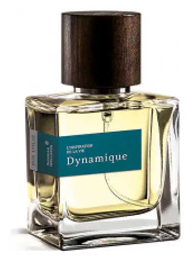 Dynamique