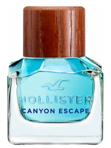 Hollister Canyon Escape Man