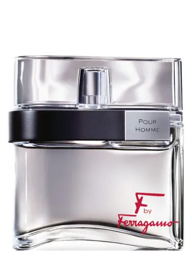 F by Ferragamo Pour Homme