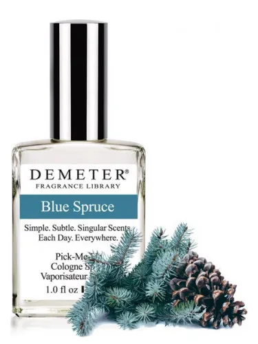 Blue Spruce