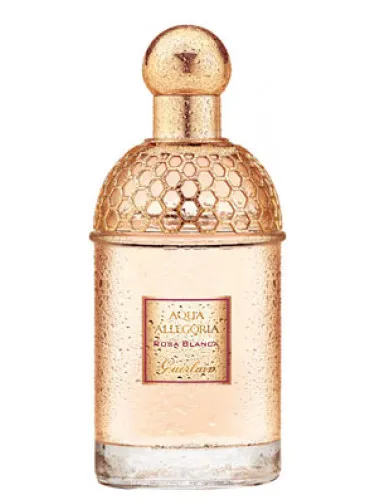 Aqua Allegoria Rosa Blanca