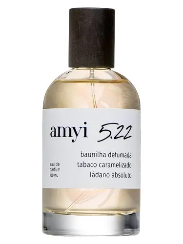 Amyi 5.22