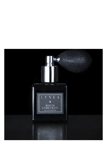 Bois de l'Obscurité